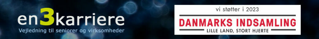 cropped-2014-header_en3karriere_danmarks-indsamling-120.jpg